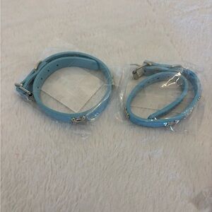 Light Blue Dog Collar with Silver Bone Charm